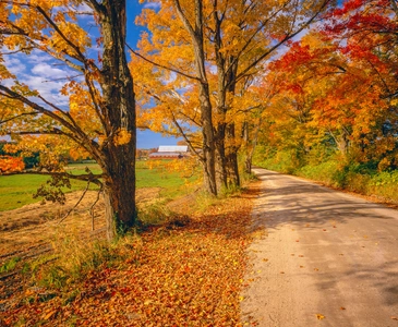 Perfect Picnic Spots in Croydon